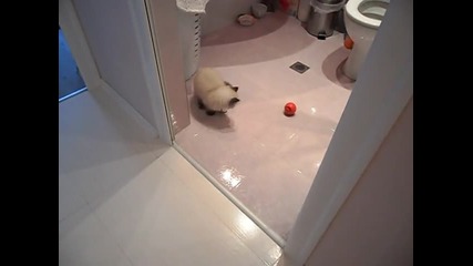 Sam_1645