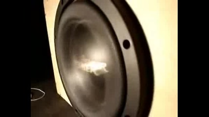 Pioneer (Premier)