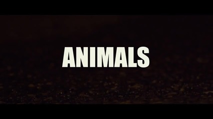 Martin Garrix - Animals ( Официално видео )