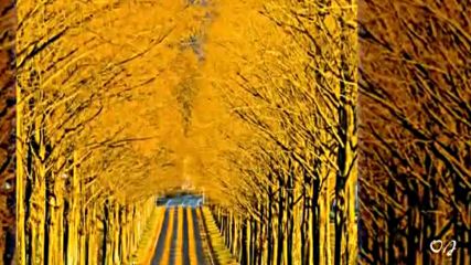 - Autumn Mood - Relaxing music Tim Janis