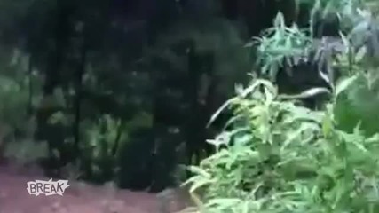 Преобръщане с Atv! Смях!