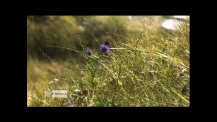 Nature - 3000 Images