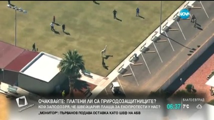 Екшън с две лами в САЩ