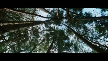 Wrecked *2011* Trailer