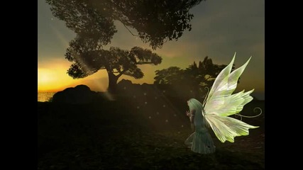 Secret Garden - Reflection
