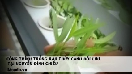 Công trình trồng rau thuỷ canh hồi lưu tại Nguyễn Đình Chiểu