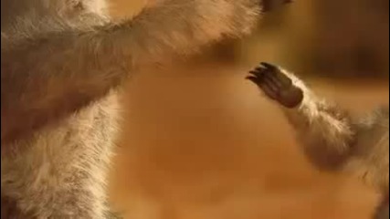 Messi - Pepsi 2010