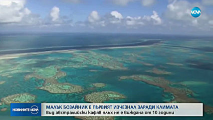 Малък бозайник е първият изчезнал заради климата
