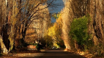 Otono En La Patagonia Argentina