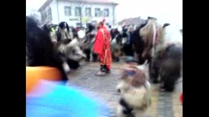 kukeriv den sredec 2014 peio 3