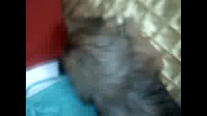 moito ku4i Emaaaa :d