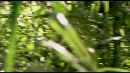 lost.s03e08.dvdrip.xvid.saints