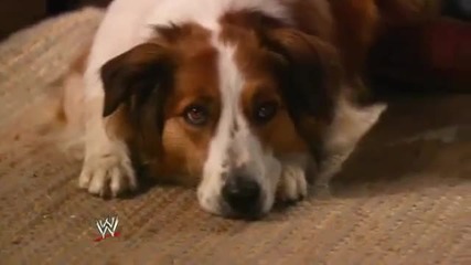 Wwe Over the Limit - Promo