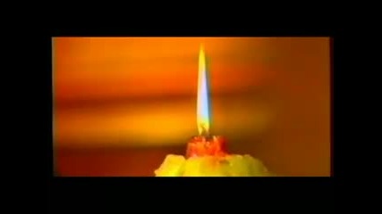 Seki Turkovic - Konobar