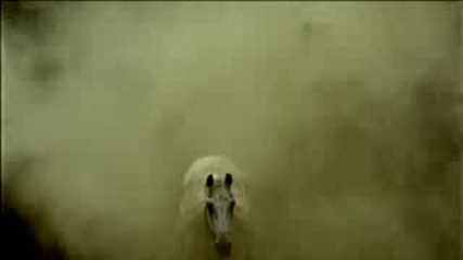 The Bravery - Unconditional (uk Version)