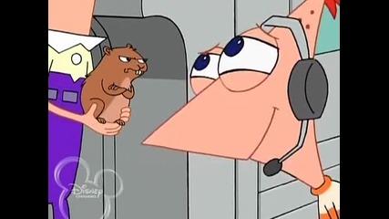 Phineas and Ferb - Interview With A Platypus; Tip of the Day сезон 2 епизод 2