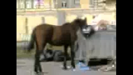 Тoва го има само в България ! 