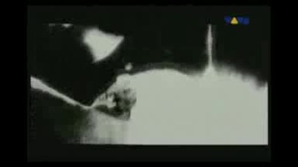 Cannibal Corpse.-no Remorse [metallica cover] Video Edit.