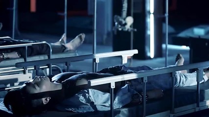 Dalmatian - E.r високо качество