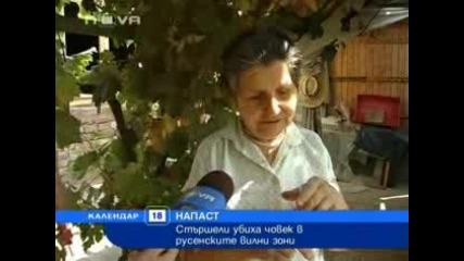 Стършели Убийци !!!