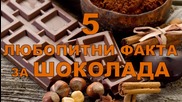 5 любопитни факта за шоколада