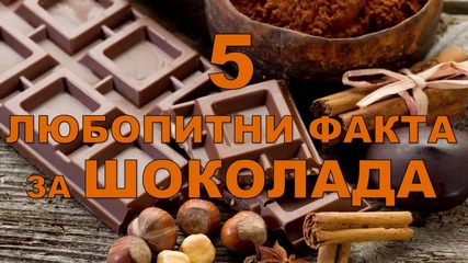 5 любопитни факта за шоколада