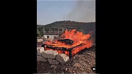 The Biblical Red Heifer ritual came to life in a recent rehearsal ceremony.mp4