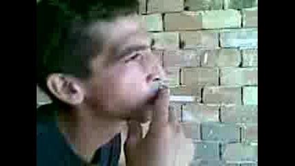 Filder 2