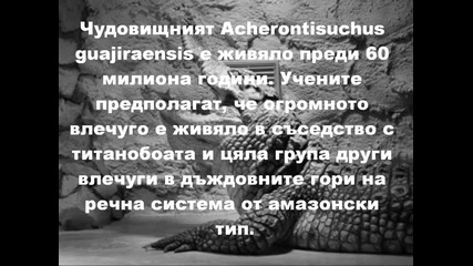 находка разкри най-голямата змия и най-дългият крокодил