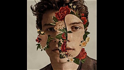 Shawn Mendes - Fallin' All In You ( Audio )