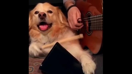 This will make your Monday better