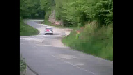 Рали Вида - Димитър Илиев - 2008