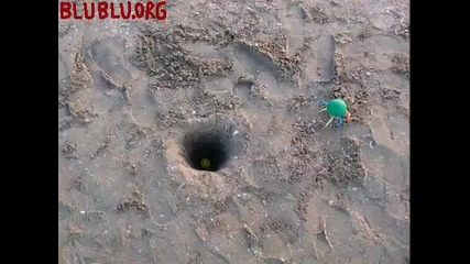 Еволюцията на живота, представена по необикновен начин ! 