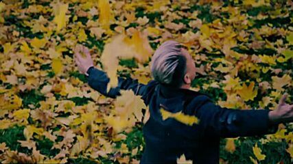 Павел Соколов - “ Жёлтые Листья”