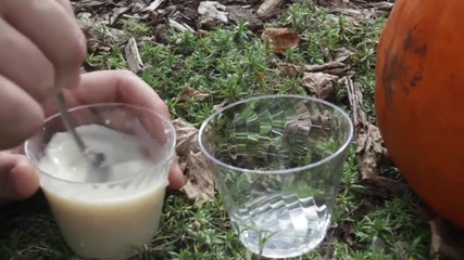Луд Експеримент С Хелуинска Тиква