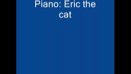 Котенцето Си Взима Урок По Пиано