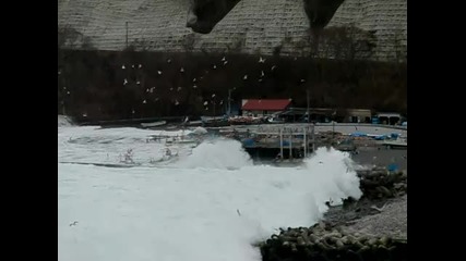 Потресаващи кадри от бедствието в Япония. 