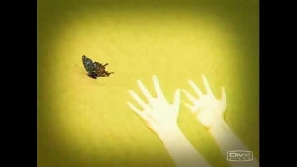 Naruto - Butterfly