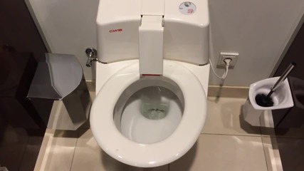 Самопочистваща се тоалетна!