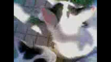 Malina I Jojo