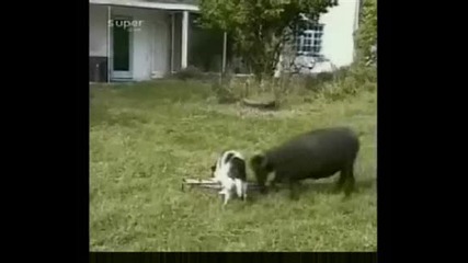 The Crash Compilation *1
