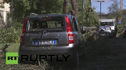 Italy: Toppled trees crush cars in fierce Florence storm