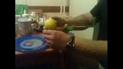 Белачка За Ябълки