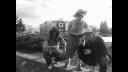 264c4f53.flv