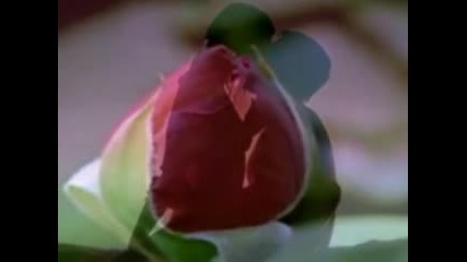 Donde esta tu amor - Son by four 