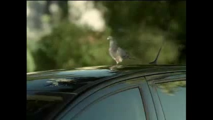 реклама Peugeot 307