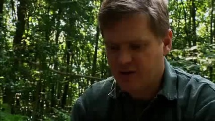 Ray mears - как да наострим ножа си на полето