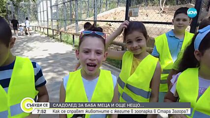 Деца от зооучилище помагат на животни в жегата