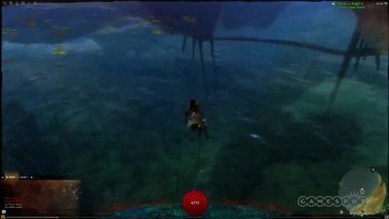 Guild Wars 2 - Underwater Combat - Gameplay - 1