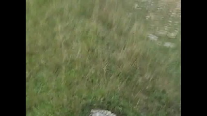 Mitsubishi Pajero off road crash